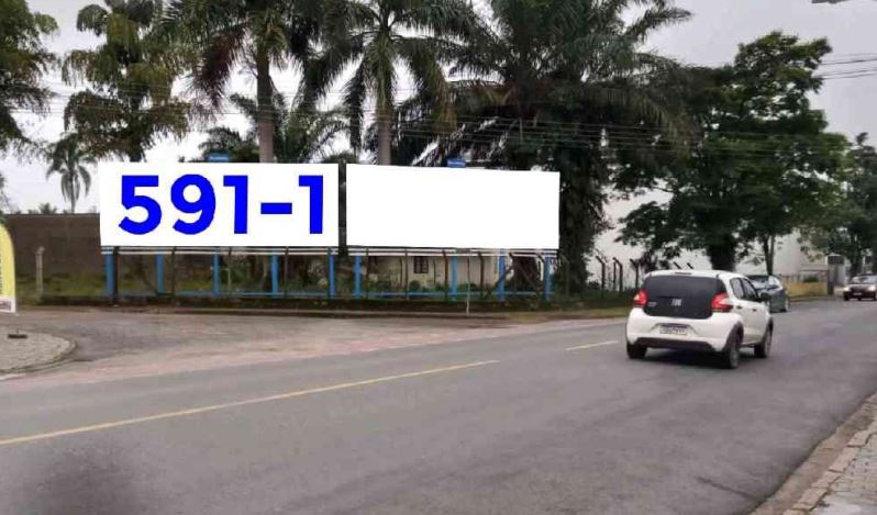 41591-1